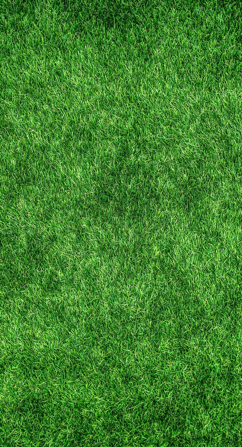 Eco-Friendly Lifestyle Tips